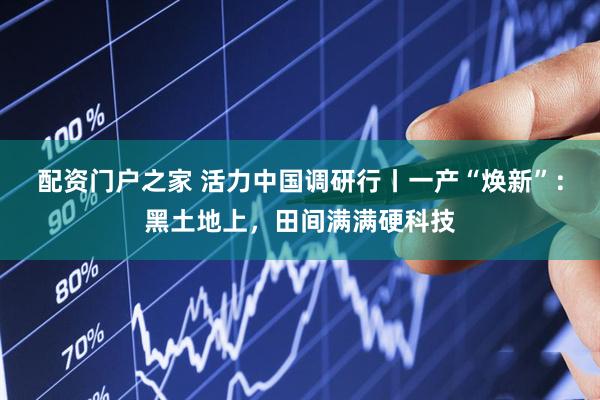 配资门户之家 活力中国调研行丨一产“焕新”：黑土地上，田间满满硬科技